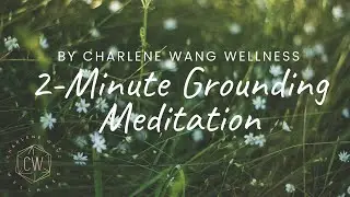 2 Minute Guided Meditation for Grounding