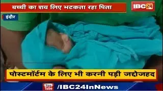 Indore News : बच्ची का शव लिए भटकता रहा पिता | Postmortem के लिए भी करनी पड़ी जद्दोजहद