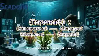 Gift from the Deep Sea: The 