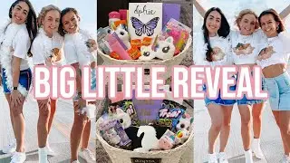 SORORITY BIG LITTLE REVEAL! | Delta Phi Epsilon at Nova Southeastern University