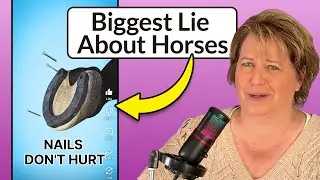 Horse Vet Reacts to Viral Horseshoe Video