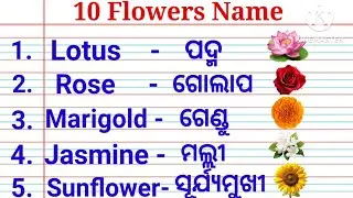 🌹🌺🌻Flower's name odia to english. #flowers #phula #flowersname #kidz_world_odia 