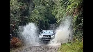 Pureora Forest Park