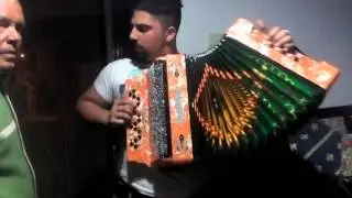 Cana verde michel
