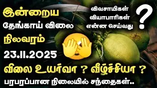 ⚠️தினசரி தேங்காய் விலை 🥥நிலவரம் 23.11.2025 | Today Coconut Market Price In Tamil #coconutprice