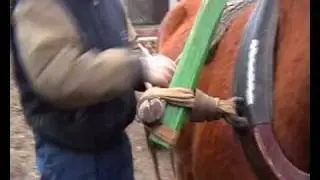hobuse rakendamine