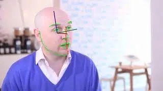 [PAMI] Multitask face alignment (landmarks location+visibility): mnn+or.mp4