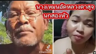 นางเหมนอัดหลวงตาสุจ#นกสองหัว