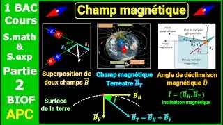 P2- Champ magnétique || Cours détaillé || 1 BAC - BIOF