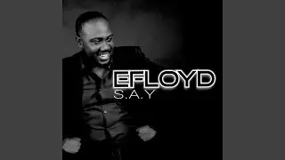 S.A.Y (Radio Edit)