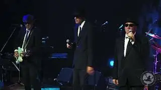 Jake & Elwood's Blues Revue | Blue Frog Studios