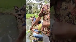 Vidio gagal tayang#funny 