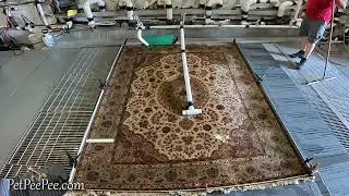 Удаление запаха с персидских и турецких ковров &mdash; проверенный метод PetPeePee