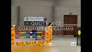 For Sale; QUOTE. Quasimodo Z x Kashmir. Bay gelding, born 2012