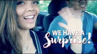 WE HAVE A SURPRISE! - 2017 Vlogs