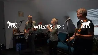 The Monkeys What's Up 2025
