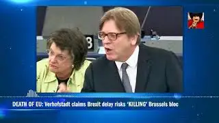 DEATH OF EU: Verhofstadt claims Brexit delay risks 'KILLING' Brussels bloc