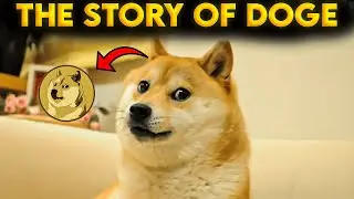 The Insane Story of Doge &ndash; From Internet Meme to Billion-Dollar Icon