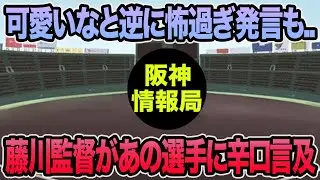 【可愛いなと逆に怖過ぎ発言も..】藤川監督があの選手にかなり辛口で言及した件について【阪神タイガース】