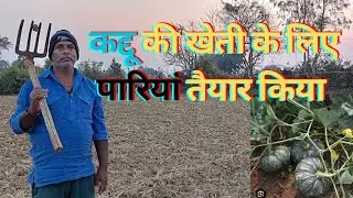 कद्दू की खेती के लिए पारियां तैयार किया 
