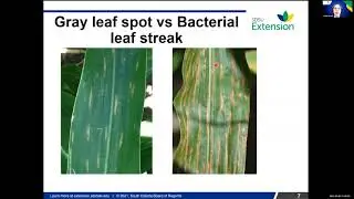 2021 Crop Hour: Plant Diseases for Private Applicators