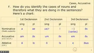 Stage 8 Grammar - Nouns & Cases - Nominative, Accusative, and Ablative