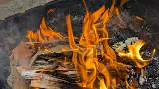 Day 150 Rudra chandi havan for Job opportunities & Job stability
