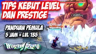 GUIDE PEMULA KEBUT LEVEL DAN PRESTIGE DI WORLD ZERO