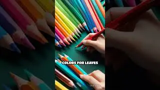 Coloring: Connect with Nature Deeply