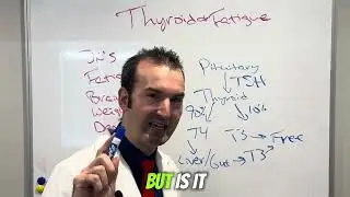 Fatigue and Thyroid Connection
