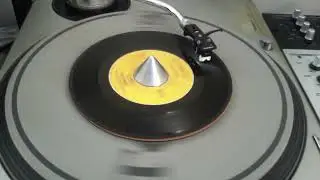Chili Peppers - fly vines (funk45)
