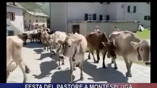 Festa del pastore a Montespluga