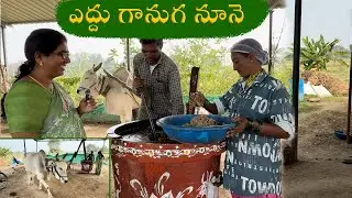 ఎద్దు గానుగ నూనె పరిశ్రమ |Bull Driven Oil | kila warangal |4k