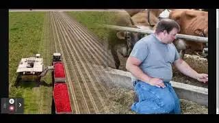 US Farmers Auction Off Cattle and Suffered Complete Crop Loss This Summer