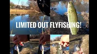 Catch and Release Trout Fishing | Closed Out 2021-2022 Trout Stocking Season