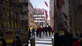 New York.Saks The Fifth Ave#fifthavenue#saksfifthavenue#nycvibes #nyclifestyle#nyclandmarks#newyork