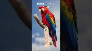 Discovering Fascinating Flying Animals | Part 2 #shorts
