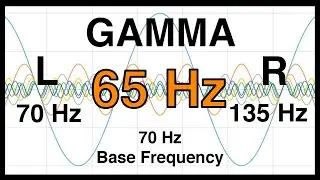 65 Hz Pure BINAURAL Beat 🔶 GAMMA Waves [70Hz Base Frequency] 🔶 Ondas Gamma 100%