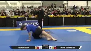 Blue Belt Standing Saddle