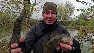 Окунь ходит парой , а щука по одной!