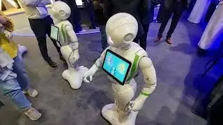 DANCING DOG AND FRIENDLY ROBOT GITEX 2022