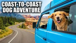 Traveling Across the Country With My Dog 🧳🐶