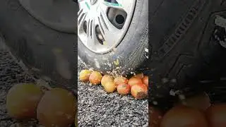 Crushing Crunchy & Soft Things by Car Compilation | Experiment Car vs Tomato , Shampoo , Pepper . ..