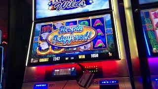 Birds of Pay Extra Wild Bonus slot machine . I didn&rsquo;t get free games on 2 games