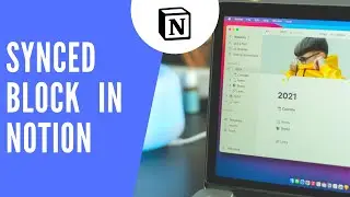 How to use the Synced Block feature in Notion for Header & Footer