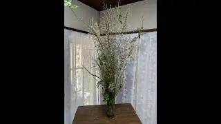 投稿854　０蘭Nature art