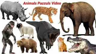 Animals Pazzuls Game Yak, Bull, Bear, Goat, Cow | Animals Video with Sounds | Cute Animals| #animals