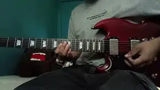 Terrapin - Clairo (Guitar Cover)