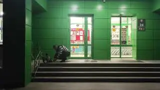 Feed homeless animals / Кормите бездомных животных ❤️