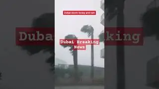Dubai Breaking News 2024 Dubai Live News #flood #dubai